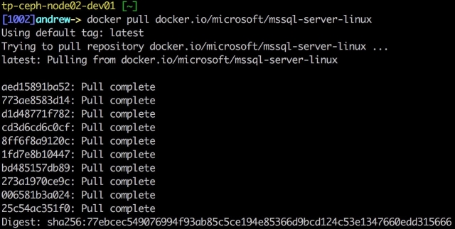 mssql server docker image